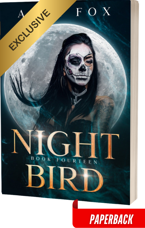 Night Bird: Book 14 (Paperback)