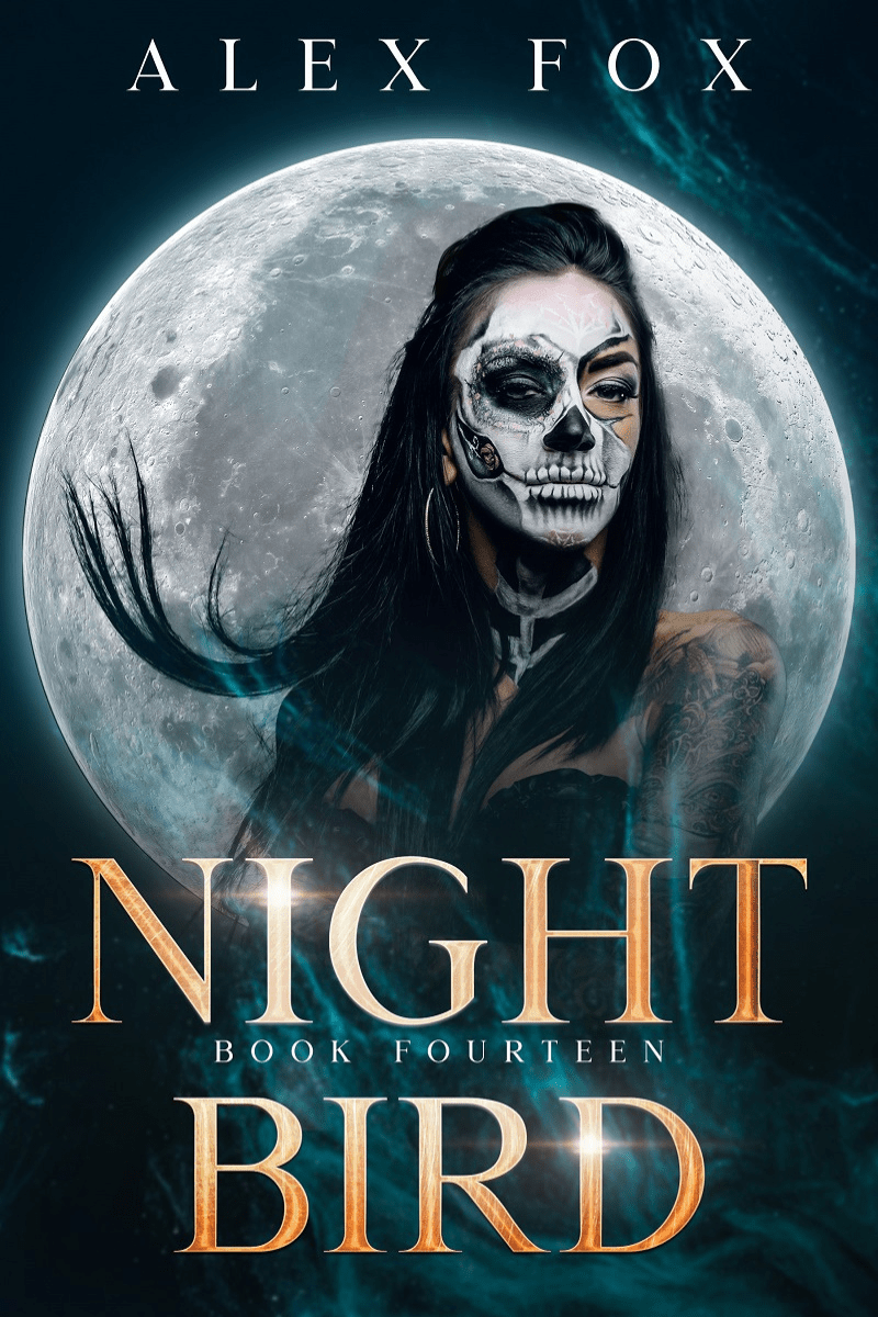 Night Bird: Book 14 (eBook) - Alex Fox Books